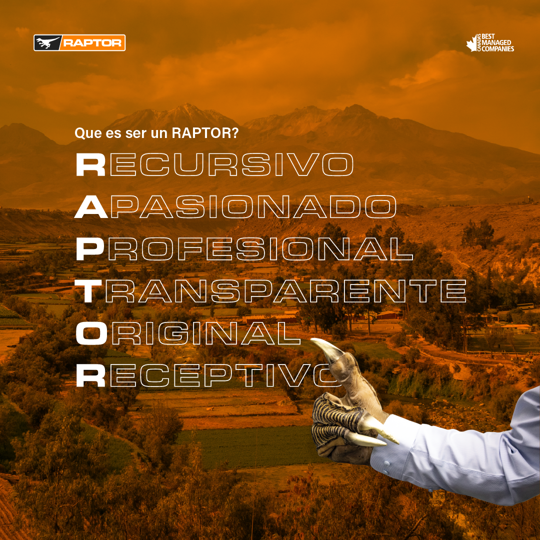 <p>Que es ser un RAPTOR?</p>