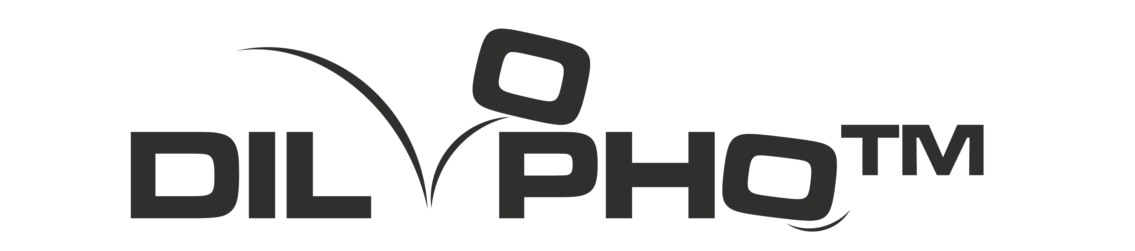<p>DILOPHO™ Rubber Liners</p>