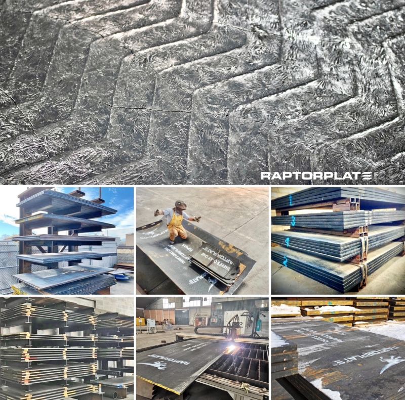 <p>Chrome Carbide RaptorPlate®</p>
