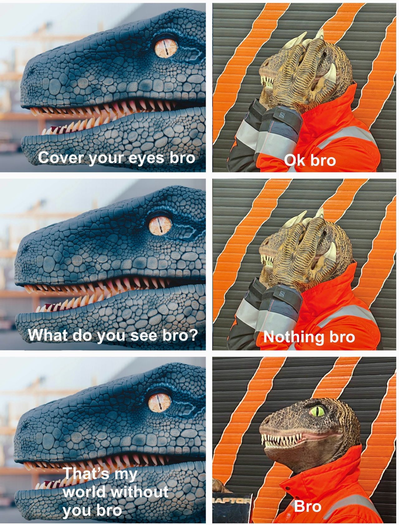 <p>Bro</p>