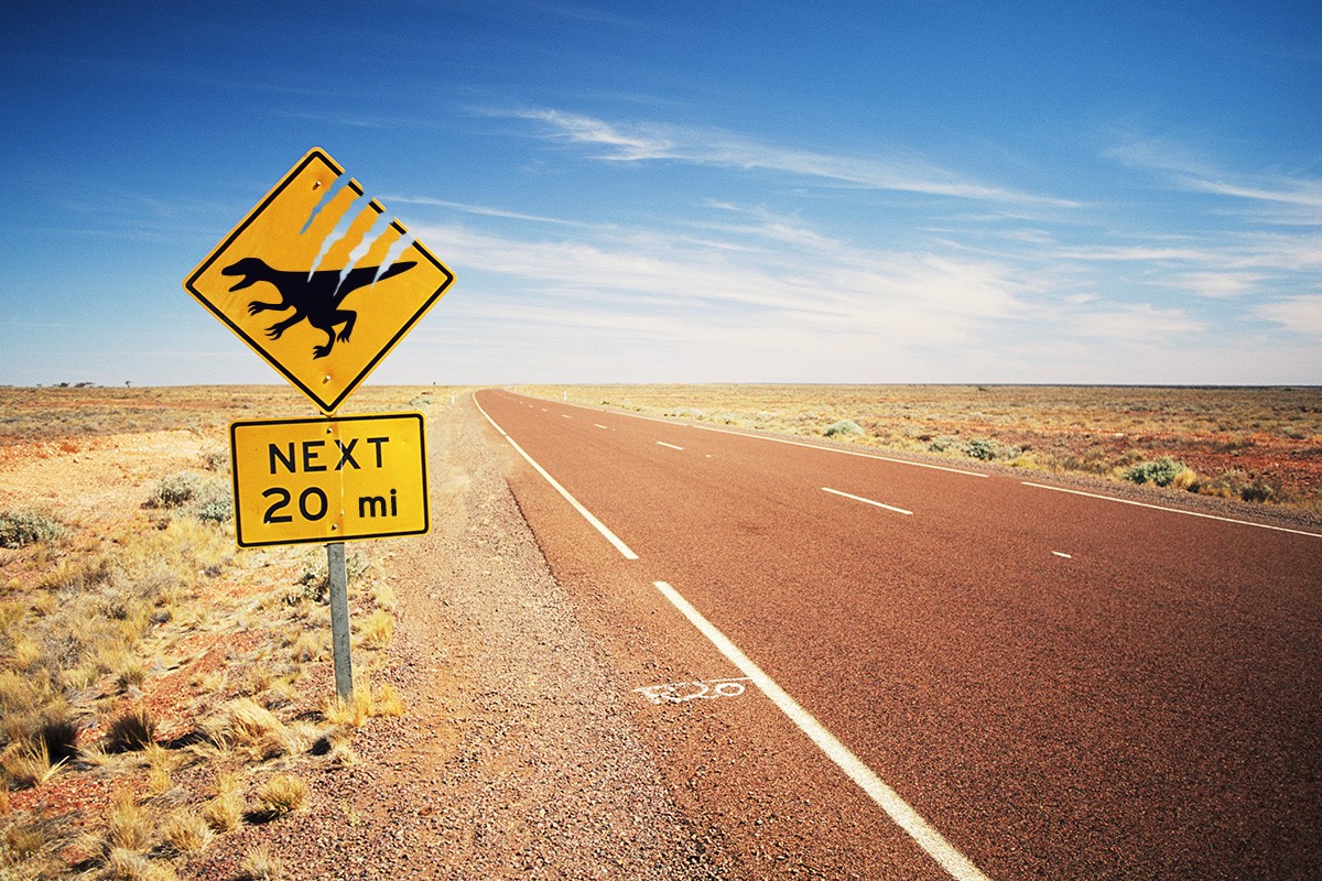 <p>! Vigila Por Raptors!</p>