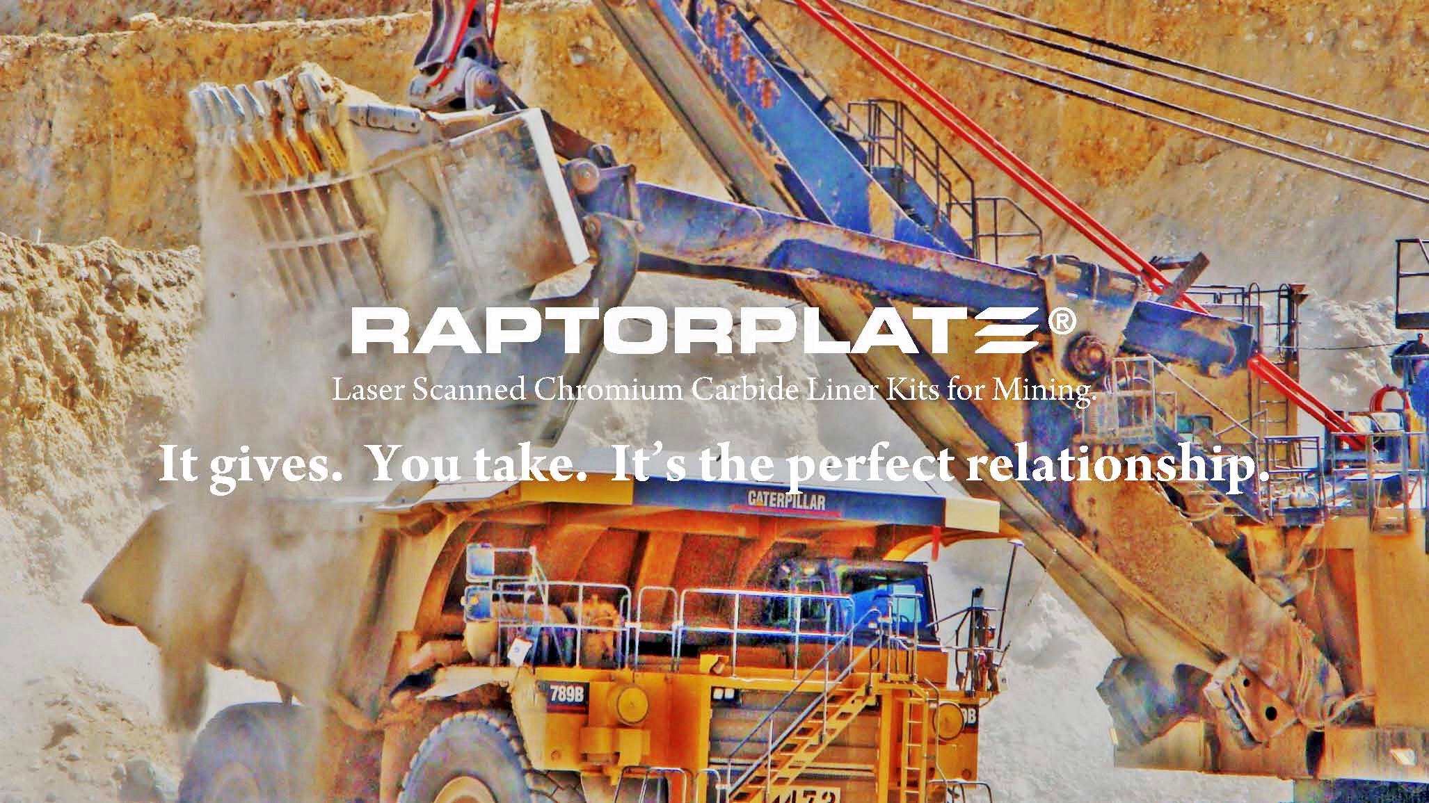 <p>Raptor Relationship Goals</p>