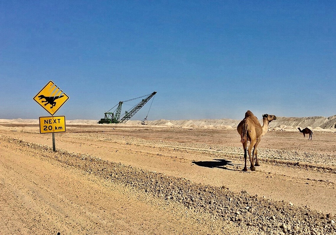 <p>North Africa</p>