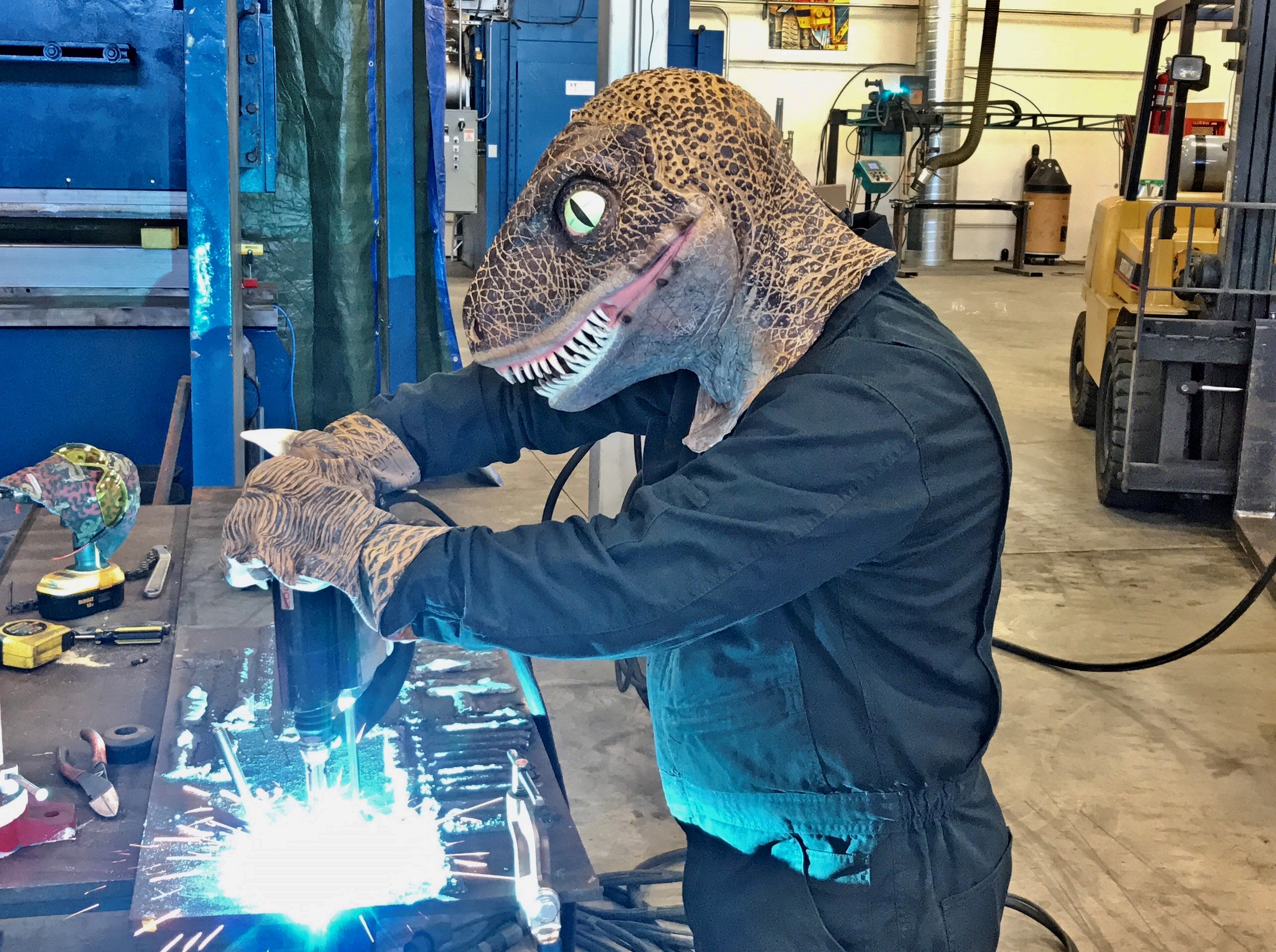<p>Look at That Stud!</p>